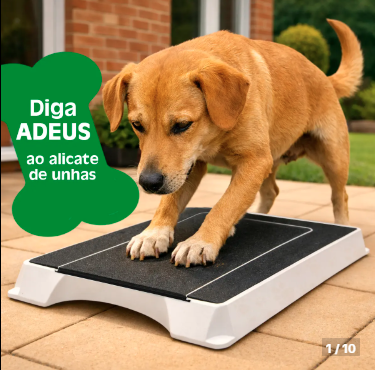 Arranhador Para Cães Brinquedo Interativo Lixa as Unhas Pet Forma Natural Divertida